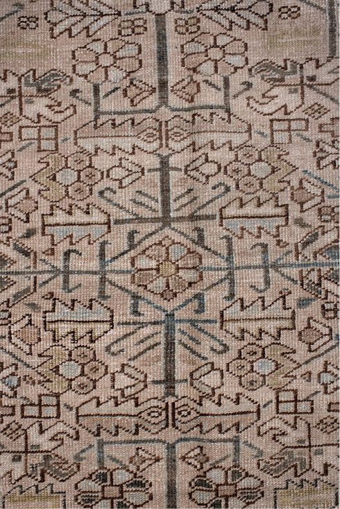 Antique Heriz Area Rug (6' x 9')